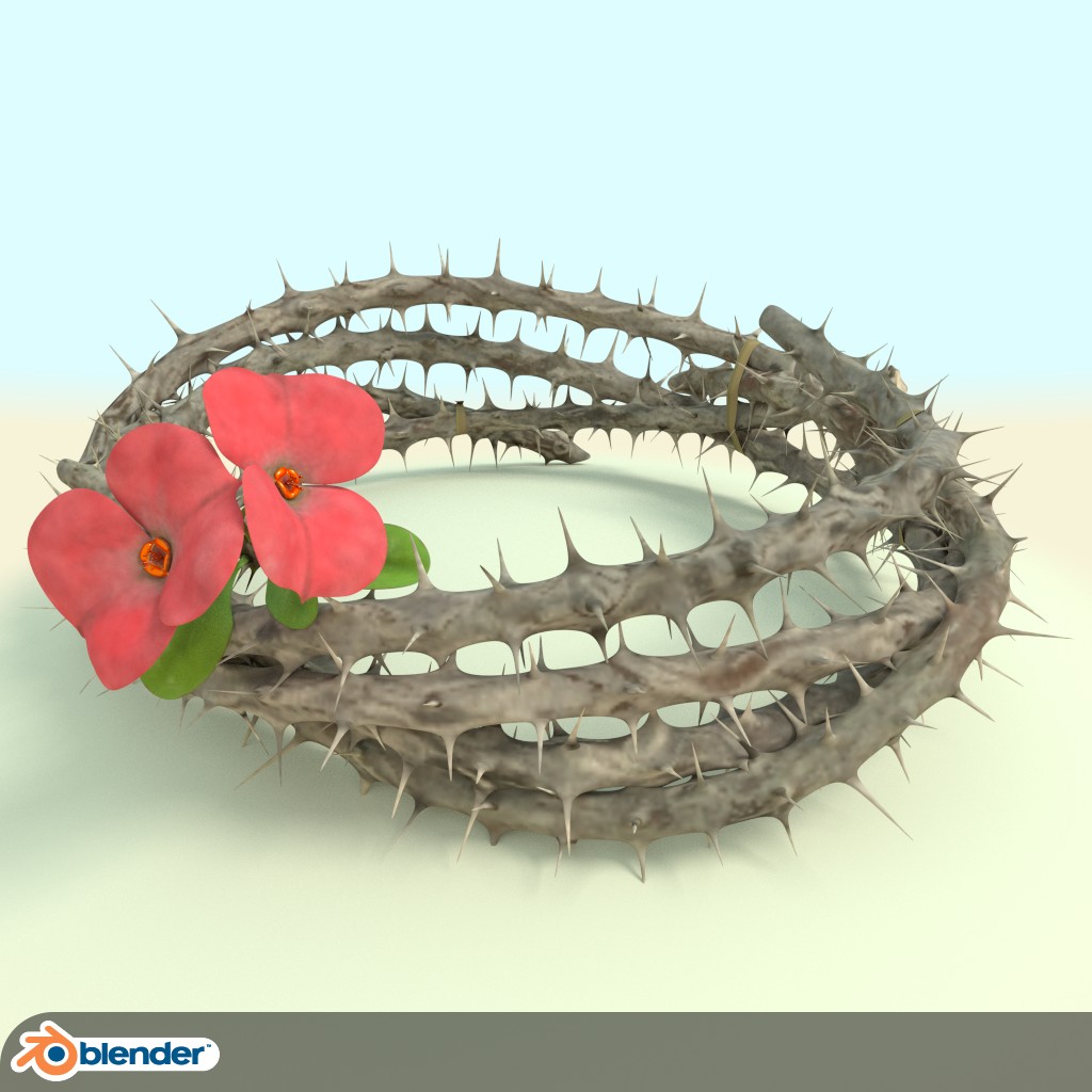Crown of Thorns preview image 1